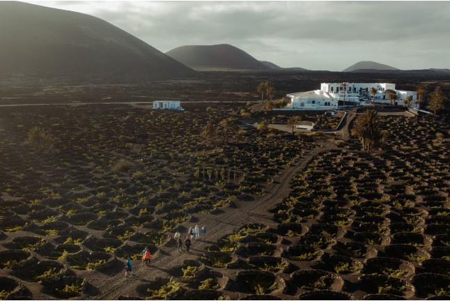 Visita Guiada por Viñedos al Atardecer y Cata con Maridaje en Finca Testeina - Bodegas Vega de Yuco (Masdache, Lanzarote)