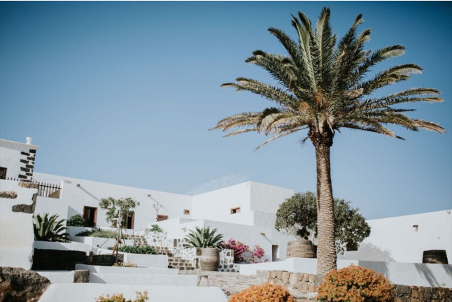 Visita Guiada por Viñedos al Atardecer y Cata con Maridaje en Finca Testeina - Bodegas Vega de Yuco (Masdache, Lanzarote)