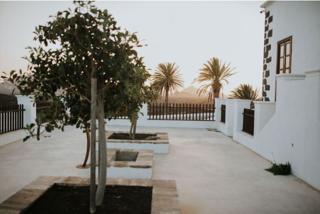 Visita Guiada por Viñedos al Atardecer y Cata con Maridaje en Finca Testeina - Bodegas Vega de Yuco (Masdache, Lanzarote)