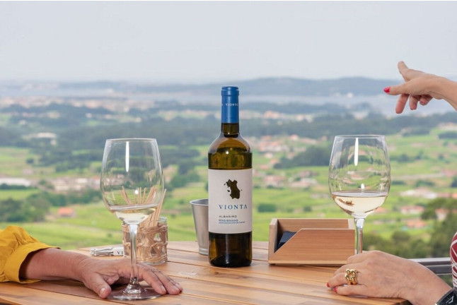 Visita a Bodegas Vionta con Cata de Vinos y Quesos para dos (Meaño, Pontevedra)