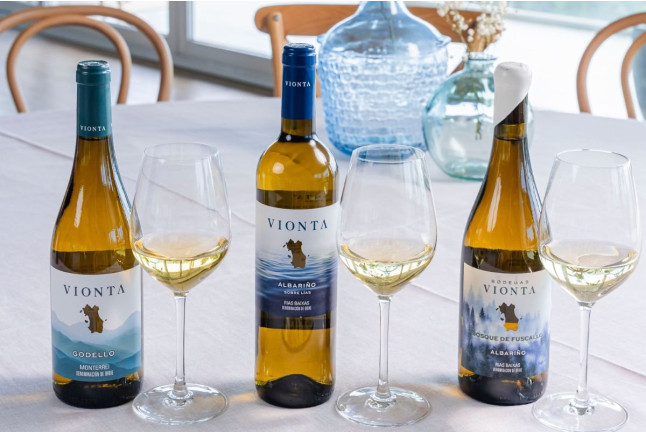 Visita a Bodegas Vionta con Cata de Vinos y Quesos para dos (Meaño, Pontevedra)