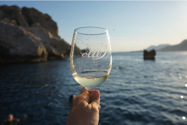 Salida Privada en Barco con Cata de Vino por las Illes Medes (L’Estartit, Girona)