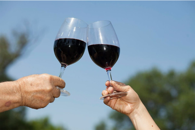 Visita a Cooperativa Agrícola de Garriguella con Cata de 4 Vinos y Maridaje de 8 Quesos (Garriguella, Girona)