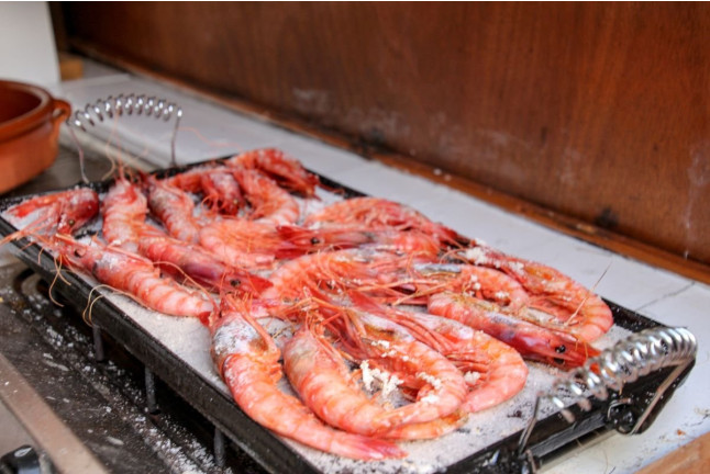 Salida Privada en Barco con Cata de Vino (Palamós, Girona)