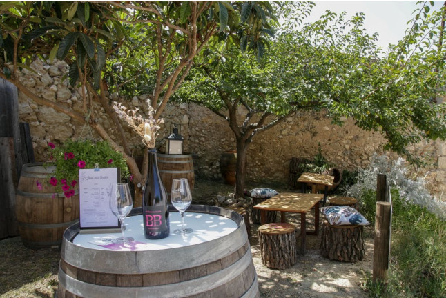 Visita a la Bodega El Jardí dels Sentits y Cata de Vinos en un Claustro Románico Milenario para dos (Sant Sebastià dels Gorgs, Barcelona)