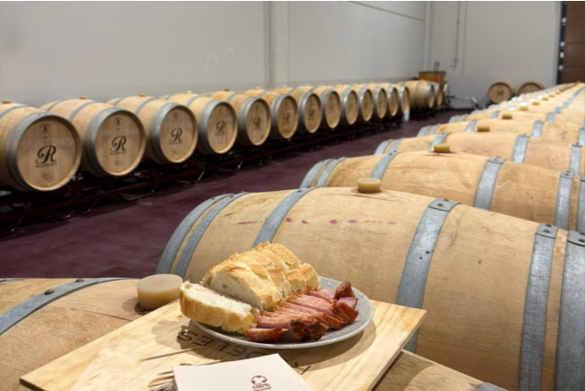 Barricas y Sabores: Visita a las Instalaciones, Cata de Vino y Picoteo en Bodegas Rudeles (Peñalba de San Esteban, Soria)