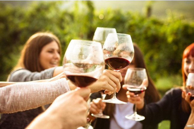 Visita a Bodega Barco Las Culebras y Cata de Vinos (Valladolid)