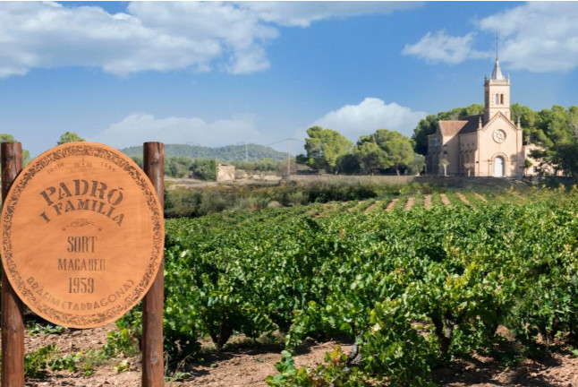 Visita Guiada con Cata de Vermuts, Tapas y Comida para dos en Gastro Botànic & Co. - Casa Padró (Bràfim, Tarragona)