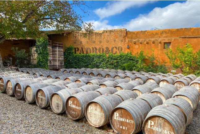 Visita Guiada y Cata de Vermuts en Casa Vermouth Padró (Bràfim, Tarragona)