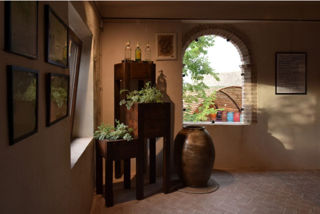 Visita Guiada y Cata de Vermuts en Casa Vermouth Padró (Bràfim, Tarragona)