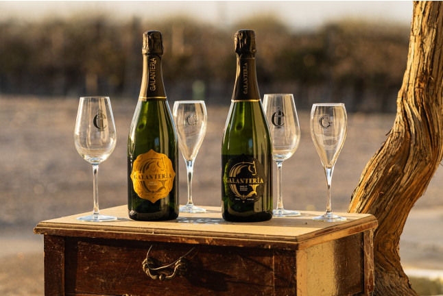 Cata de Vinos con Aperitivo en Albariza de la Torre (Jerez de la Frontera, Cádiz)
