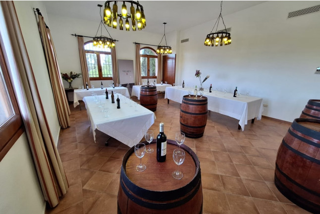 Visita a Bodega y Cata de Vino para dos en Hacienda Villarta (Escalona, Toledo)