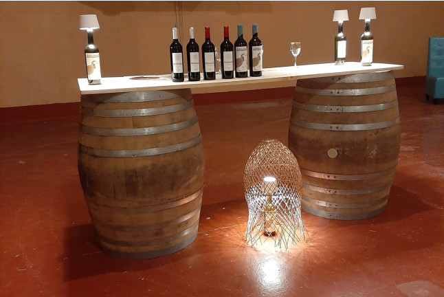 Visita a Bodega y Cata de Vino para dos en Hacienda Villarta (Escalona, Toledo)