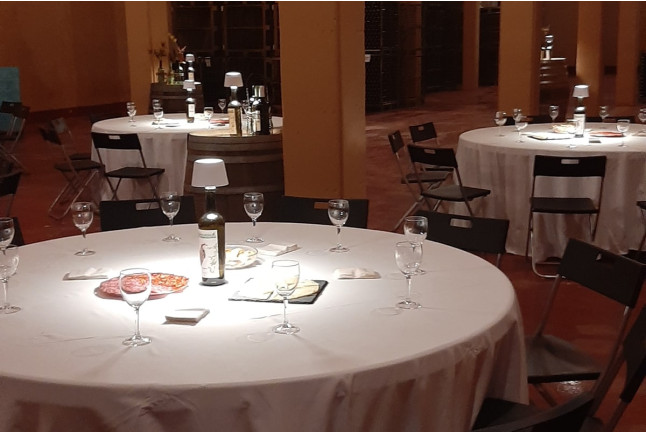 Visita a Bodega y Cata de Vino para dos en Hacienda Villarta (Escalona, Toledo)