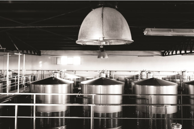 Visita a Bodega y Cata de Vino para dos en Hacienda Villarta (Escalona, Toledo)