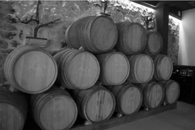 Visita, Cata de Vinos y Aperitivo en l'Estanquer (Canet lo Roig, Castellón)