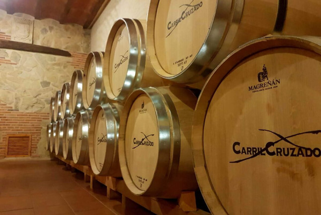 Visita a Viñedos y Bodega con Cata de Vinos en Finca Carril Cruzado (Cuenca)
