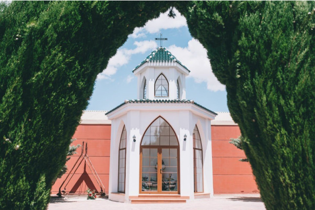 Visita a Viñedos y Bodega con Cata de Vinos en Finca Carril Cruzado (Cuenca)