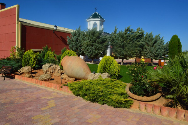 Visita a Viñedos y Bodega con Cata de Vinos en Finca Carril Cruzado (Cuenca)