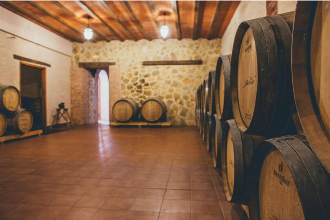 Visita a Viñedos y Bodega con Cata de Vinos en Finca Carril Cruzado (Cuenca)