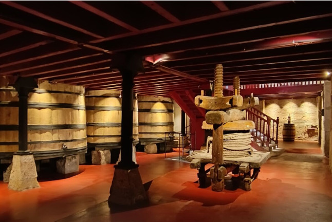 Visita a Bodegas Manzanos Haro con Cata de Vinos y Aperitivo (Haro, La Rioja)