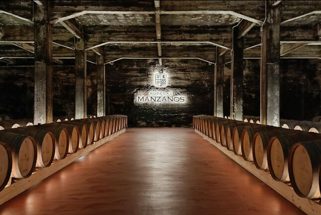 Visita a Bodegas Manzanos Haro con Cata de Vinos y Aperitivo y Circuito Spa para dos en Silken Villa de Laguardia 4* (La Rioja y Álava)