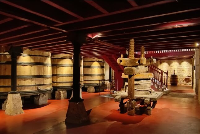 Visita a Bodegas Manzanos Haro con Cata de Vinos y Aperitivo y Circuito Spa para dos en Silken Villa de Laguardia 4* (La Rioja y Álava)