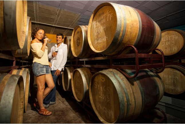 Visita a Viñedos en 4x4, Bodega, Cata de Vinos y Aperitivo para dos en Cellers Baronia del Montsant (Tarragona)