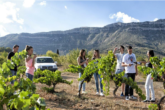Visita a Viñedos en 4x4, Bodega, Cata de Vinos y Aperitivo para dos en Cellers Baronia del Montsant (Tarragona)