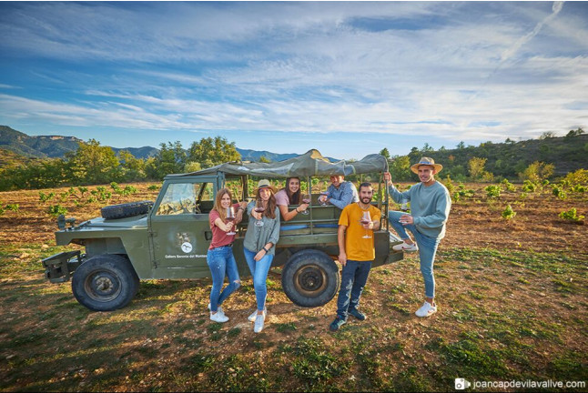 Visita a Viñedos en 4x4, Bodega, Cata de Vinos y Aperitivo para dos en Cellers Baronia del Montsant (Tarragona)