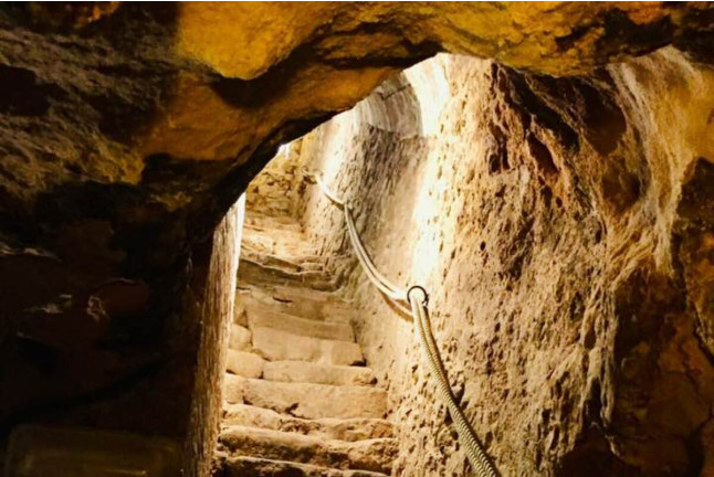 Visita Teatralizada a Bodega, Degustación de Ibéricos y Cata Maridaje (Burgos)