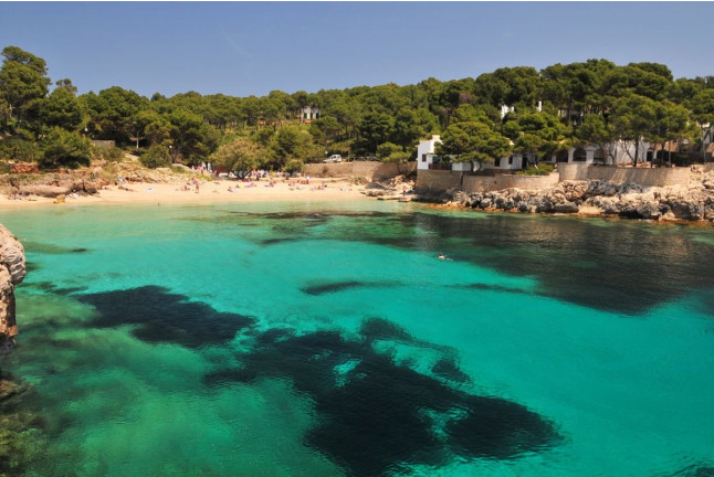 Salida en Catamarán por la Bahía de Palma con Barbacoa (Mallorca)