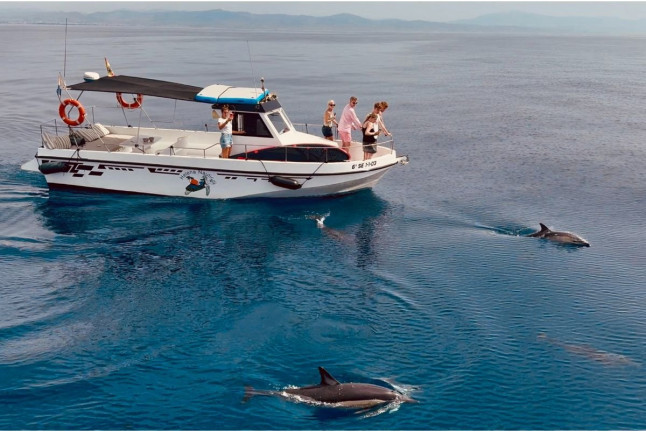 Salida en Catamarán con Degustación de Tapas Españolas, Actividades y Avistamiento de Delfines (Benalmádena, Málaga)