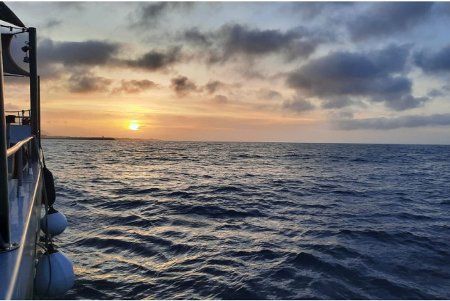 Paseo en Catamarán con Puesta de Sol hacia Cova Tallada (Denia / Jávea, Alicante)