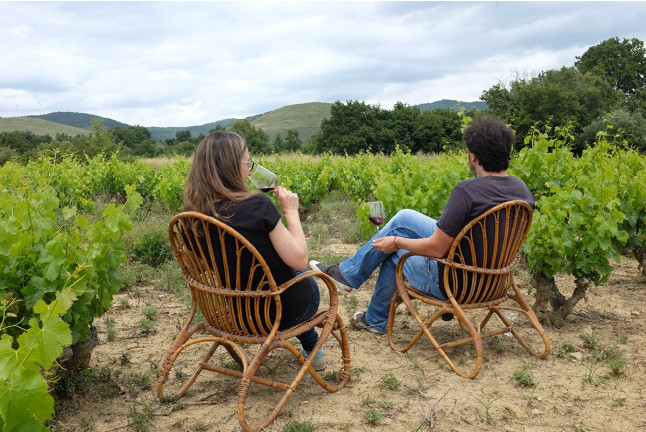 Visita a Bodegas Caudalía con Cata de Vinos con Aperitivo y Aceite de Oliva Virgen Extra para dos (Lerga, Navarra)