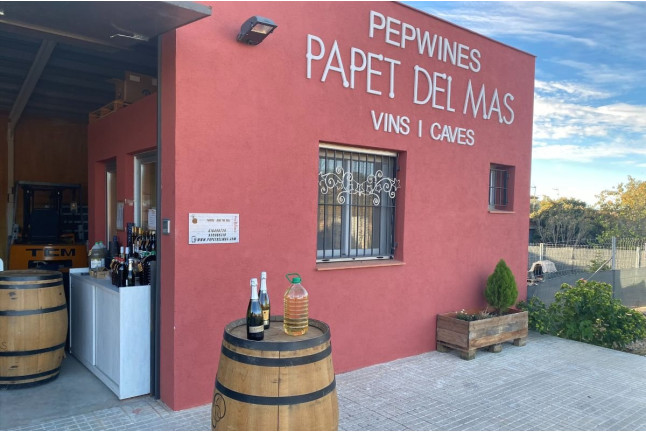 Cata de Cavas y Vinos con Aperitivo y Maridaje de Quesos opcional para dos en Papet del Mas (Font-Rubí, Barcelona)