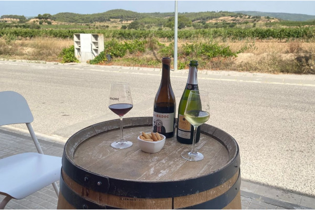 Cata de Cavas y Vinos con Aperitivo y Maridaje de Quesos opcional para dos en Papet del Mas (Font-Rubí, Barcelona)
