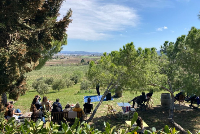 Visita a Bodega con Cata de Cavas y Degustación de Quesos en Vila Morgades (Castellví de la Marca, Barcelona)