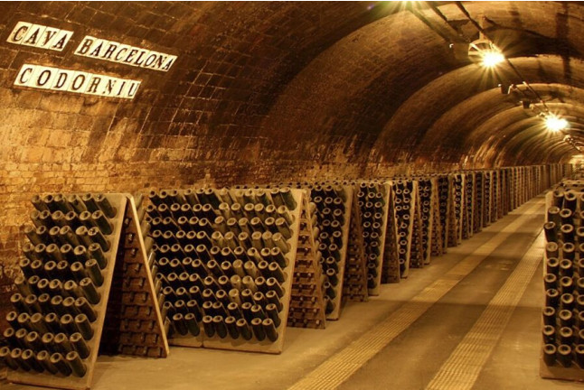 Visita a las Cavas Codorníu con degustación de 2 cavas de alta gama (Sant Sadurní d'Anoia, Barcelona)
