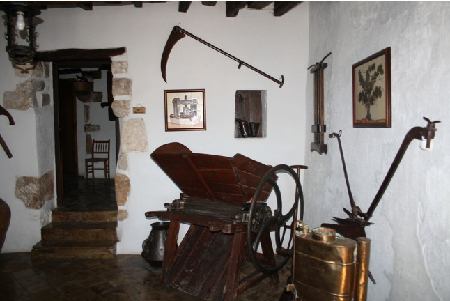 Visita Premium a Caves Bolet con Cata de Vino y Cava (Castellví de la Marca, Barcelona)