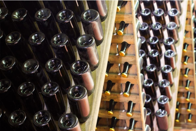 Tradición, Territorio Penedès-Garraf: Ruta, Visita Guiada, Cata de Vino y Cava y Aperitivo en Caves Cuscó Berga (Les Gunyoles, Barcelona)