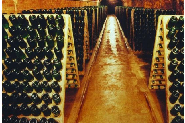 Visita a Bodega y Cata de 5 vinos con Maridaje en Bodegas Pinord (Vilafranca del Penedès, Barcelona)