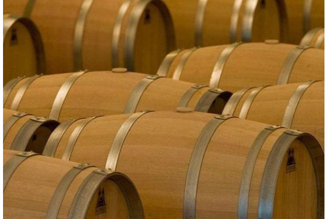 Visita a Bodega y Cata de 5 vinos con Maridaje en Bodegas Pinord (Vilafranca del Penedès, Barcelona)