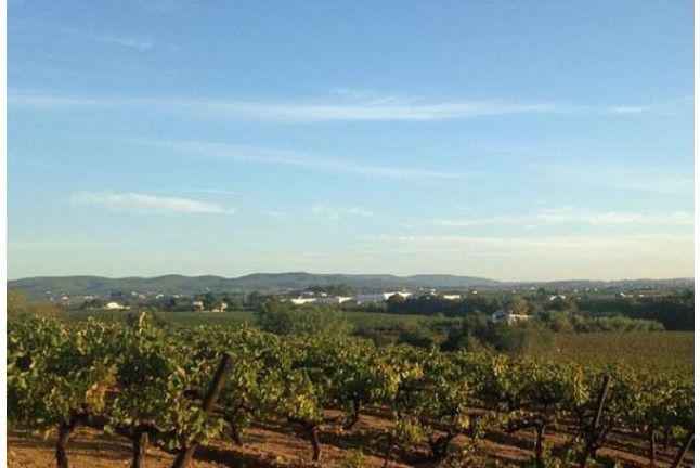 Visita a Bodega y Cata de 5 vinos con Maridaje en Bodegas Pinord (Vilafranca del Penedès, Barcelona)