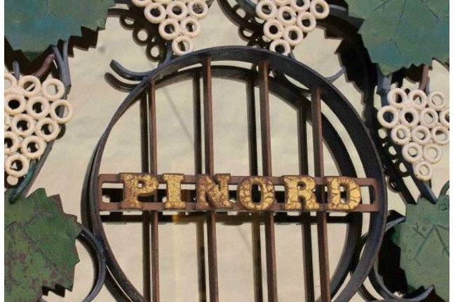 Visita a Bodega y Cata de 5 vinos con Maridaje en Bodegas Pinord (Vilafranca del Penedès, Barcelona)