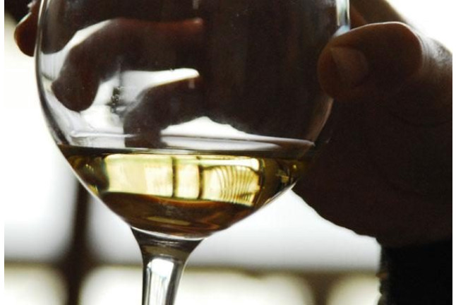 Iniciación a la Cata de Vino (Barcelona)