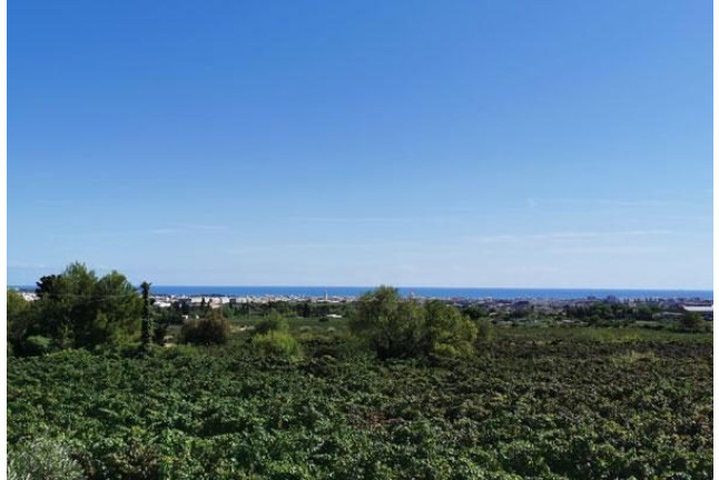 Visita Guiada a Bodega Jaume Serra con Cata de Cavas (Vilanova i la Geltrú, Barcelona)