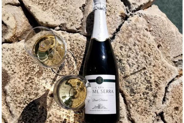 Visita Guiada a Bodega Jaume Serra con Cata de Cavas (Vilanova i la Geltrú, Barcelona)