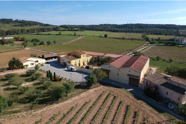 Visita a Celler Parató con Cata de Vinos para dos (El Pla del Penedès, Barcelona)