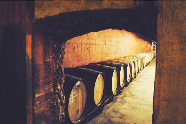 Visita a Celler Parató con Cata de Vinos para dos (El Pla del Penedès, Barcelona)